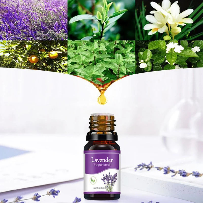 Óleo Essenciais Aromaterapia | Difusor Umidificador ✦ Perfume